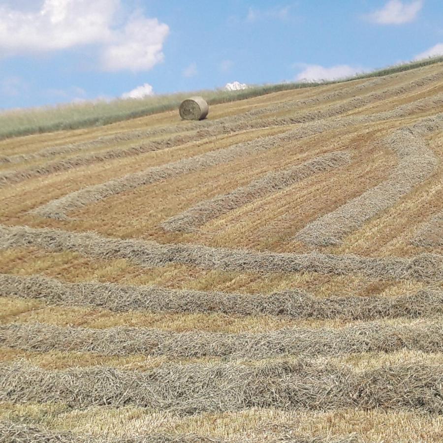 Agriturismo Il Colore Del Grano San Vittore  Exteriér fotografie