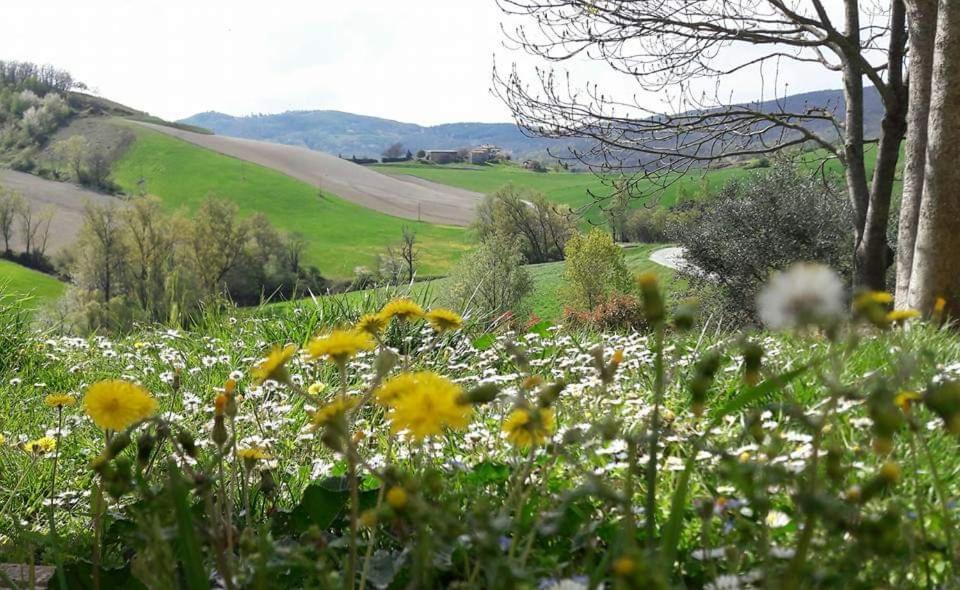 Agriturismo Il Colore Del Grano San Vittore  Exteriér fotografie