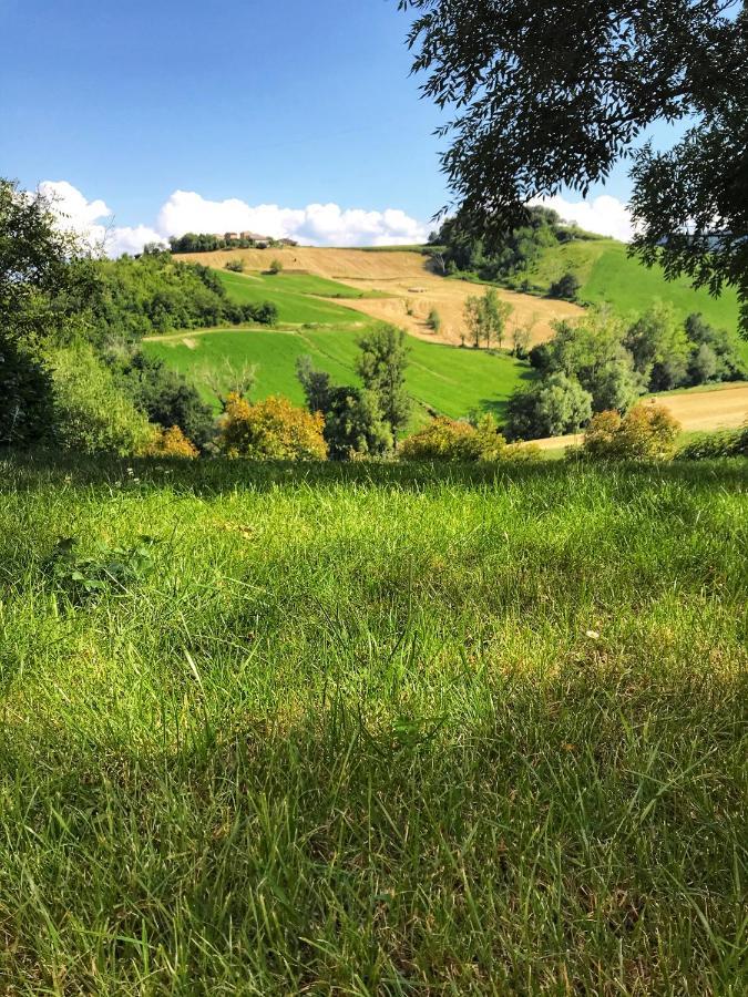 Agriturismo Il Colore Del Grano San Vittore  Exteriér fotografie
