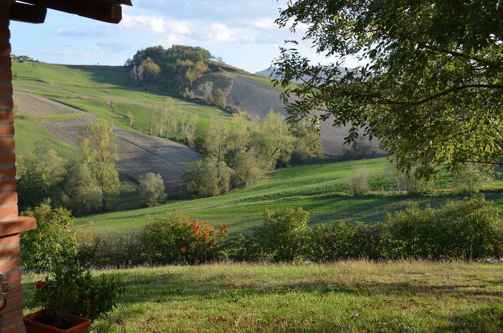 Agriturismo Il Colore Del Grano San Vittore  Exteriér fotografie